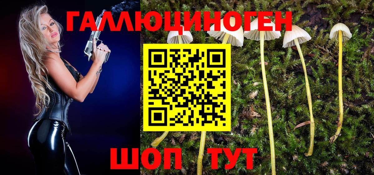 Галлюциногенные грибы Magic Shrooms  Галлюциногенные грибы мухоморы  Десногорск  Вход с VPN 